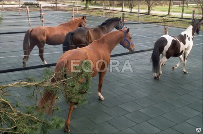 Маты из резиновой крошки для конюшни в Сергиевом Посаде